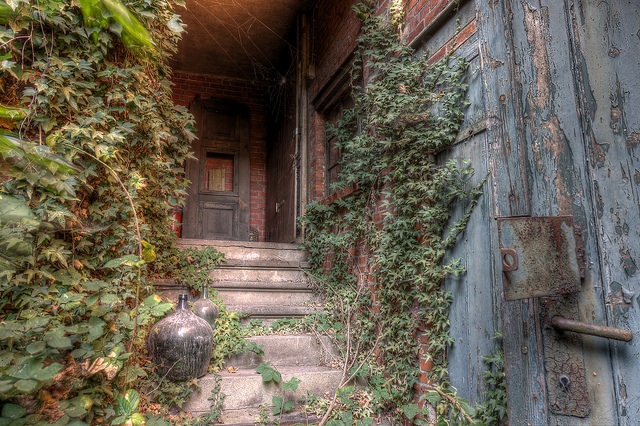 画像はイメージです（Jan Bommesさん撮影、Flickrより）