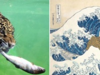 オリジナル画像の秀逸さとコラ職人のセンスが光る、フォトショバトル優秀作品20（※昆虫出演中）