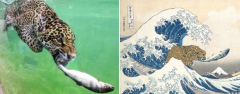 オリジナル画像の秀逸さとコラ職人のセンスが光る、フォトショバトル優秀作品20（※昆虫出演中）