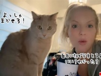 よっしゃまかせろ！シャッターを押す瞬間、決め顔を作る猫
