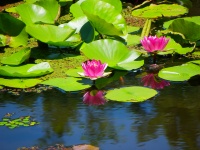 （撮影＝coloredby flickrより）