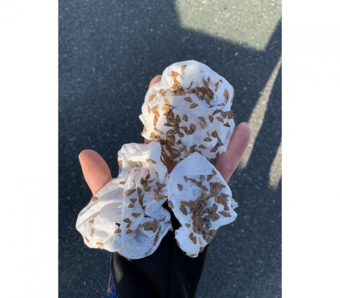 すごいとれてる！（画像は釣りする大学生＠BuyhRさんより提供）