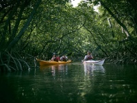 星野リゾートのプレスリリース画像