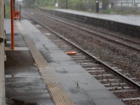 「0歳孫を抱っこして大雨の中を病院へ。服までビショビショの私に、通りすがりの見知らぬ女性が...」（大阪府・60代女性）