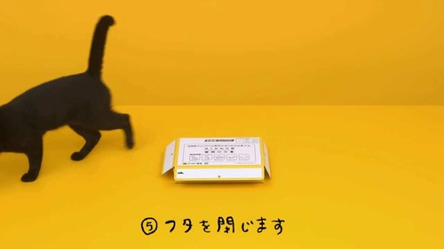 宅急便コンパクト