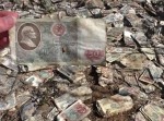 ロシアの奥地で１９億円の紙幣を発見⇒その悲劇的な結末とは…