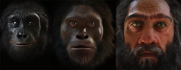 人類の顔の進化をモーフィング。600万年を2分で見られる動画。