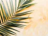 【六白金星】2021年前半の運勢