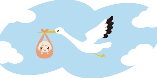 コウノトリが赤ちゃんを運ぶ