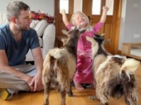 マラミュートと猫とそして山羊？自然と生き物たちに囲まれて暮らす、素敵なイギリスのカントリーライフ
