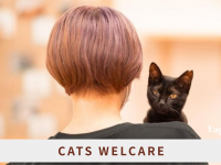 Eager Beaverのプレスリリース画像