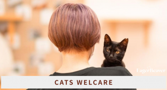 Eager Beaverのプレスリリース画像