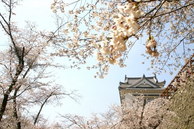 シティーホテルの価格で、桜絶景を楽しめる（画像はイメージ）