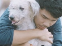 人間のぬくもりを知らない野良犬たちを心から抱きしめたら何が起こるのか。野良犬を抱きしめるプロジェクト「ファースト・ハグ」