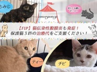 特定非営利活動法人 動物愛護・福祉協会６０家(ロワや)のプレスリリース画像