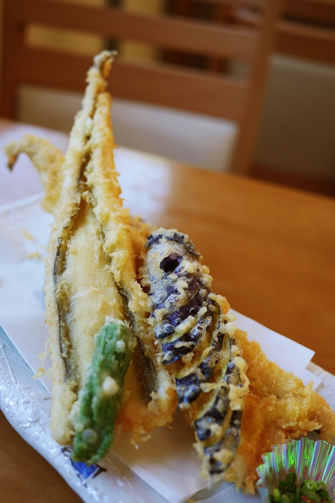 kodokunogurume-onagawa-konori15