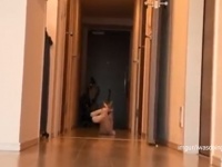 どんなクリーチャーが迫ってくるかと思えば...猫がぬいぐるみをくわえて運ぶ様子があまりにもシュール