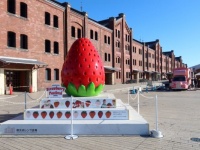 “いちご尽くし”の夢のような空間！　「Yokohama Strawberry Festival 2025」に行ってきた