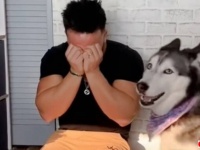「お前、それはないだろう…？」愛犬の前で泣き真似をしてみたら、さらに泣かされる事態になってしまった件