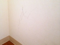 不動産アドバイザーに聞く。賃貸部屋の壁に穴をあけてもいい？