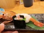 【はいじぃ迷作劇場】【昇天】北海道の超人気回転寿司【トリトン】で一番高い寿司を食べてみた！
