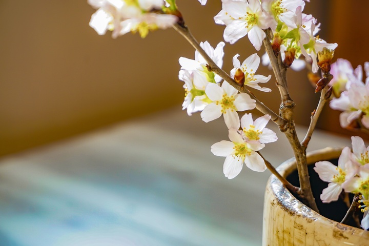 株式会社アンジェラックスプランニングのプレスリリース画像