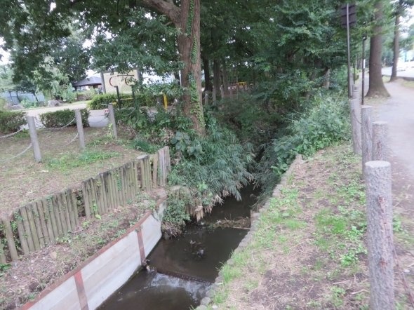 野火止用水