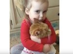 「このコは渡さない！」猫を力強くハグする２歳の少女が微笑ましい。