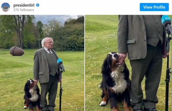 アイルランド大統領が記者会見中、甘えまくる愛犬の姿に世界がほっこり