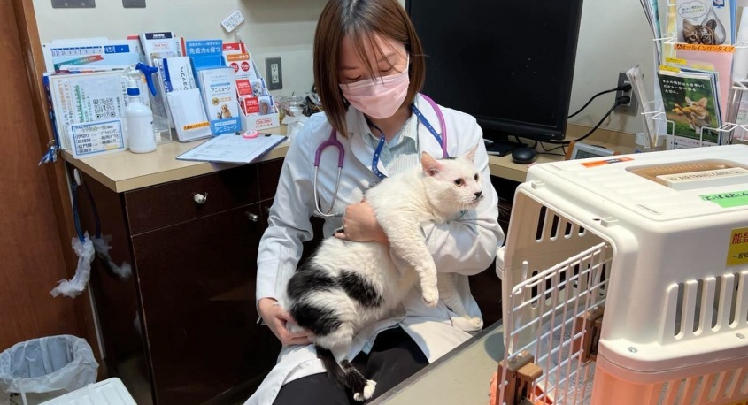 一般社団法人東京都人と動物のきずな福祉協会のプレスリリース画像
