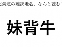 ヒント：4文字です