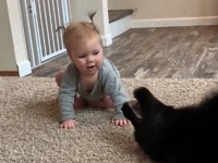 これが人たらしの必殺技、赤子もあやす、犬のスライディングキッスだ！