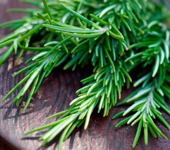 Rosemary