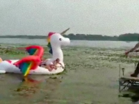 ユニコーン遭難事件！？湖で立ち往生してしまった超巨大ユニコーン