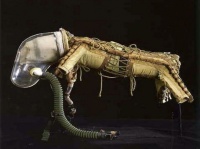 宇宙犬ライカが身に着けていたとされるコスチュームの詳細が明らかに？