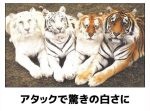 5秒でやられる！職場で見てはいけない動物の爆笑ボケて11選
