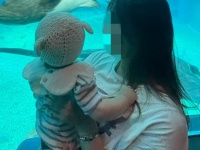 海遊館に〝屈強すぎる母〟出現で「王騎将軍も腰抜かす」　衝撃の姿に26万人驚がく
