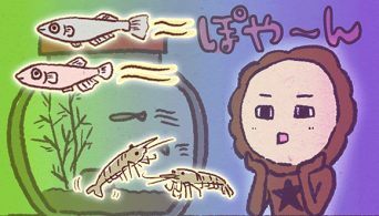 アレな生態系日常漫画「いぶかればいぶかろう」第26回：カニが星になり、ぽっかり空いた水槽に新たなる仲間が！