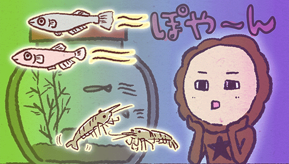 アレな生態系日常漫画「いぶかればいぶかろう」第26回：カニが星になり、ぽっかり空いた水槽に新たなる仲間が！