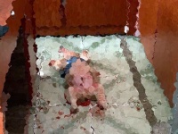 安心してください。赤いのはジャムで、寝てるだけです。盗み食いをしたコーギー犬の驚くべき姿がネットで大反響（ベトナム）