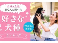 犬好きな女性300人に聞いた「好きな犬種ランキング」。2位はトイプードル、1位は？