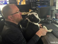 運命の出会い。警察官の母親が吹雪の中で発見した捨て犬が警察署の一員に
