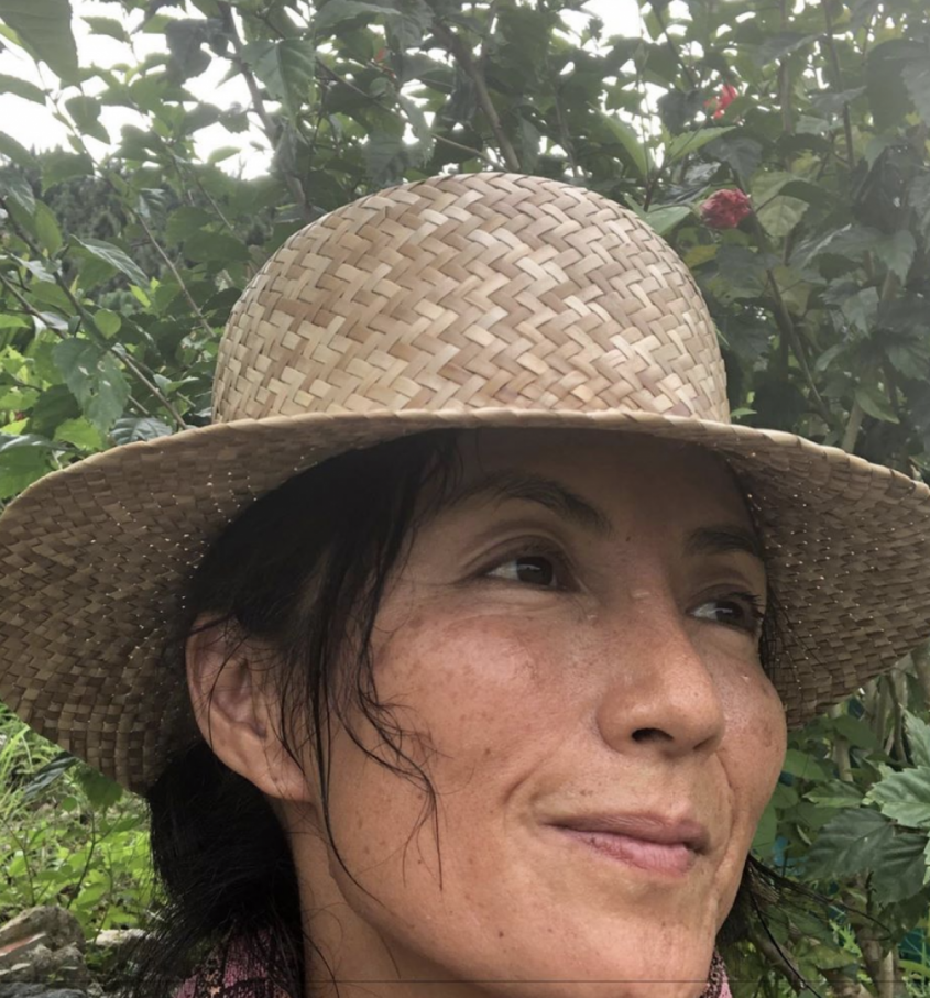 吉本多香美の公式Instagramより　https://www.instagram.com/yoshimototakami/