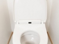 お尻、冷たくないの？　最近の女性が「便座カバー」を使用しないワケとは