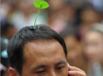 【完全にピクミン】中国で頭に花を生やすことが流行中！