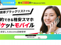 だれでもモバイル株式会社のプレスリリース画像