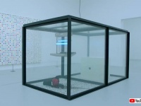 ハエを殺すアート作品が動物権利団体の抗議により展示中止に