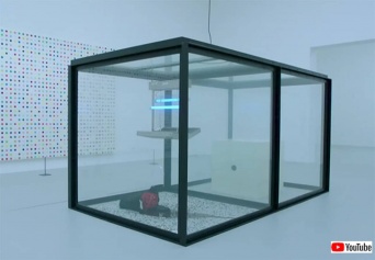 ハエを殺すアート作品が動物権利団体の抗議により展示中止に
