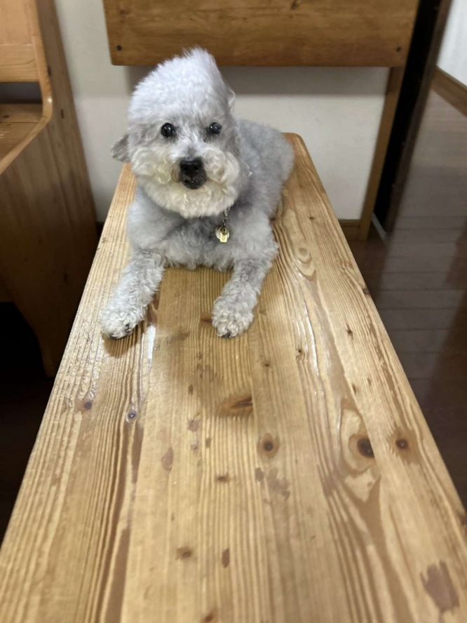 か、欠けてる...!?(画像は@9Z8lquSv8B3FMpNさん提供)