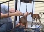 【サバイヴ】頭が抜けないよ！　半泣きの男の子を救った方法が要記憶モノ